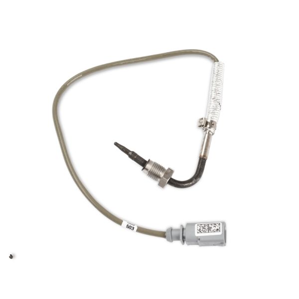 Exhaust gas temperature sensor